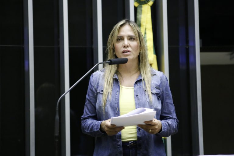 Ordem do Dia/ Proposições Remanescentes do Dia Anterior. Dep. Celina Leão PP - DF