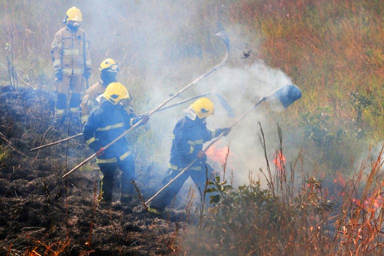 Meio Ambiente - queimada e desmatamento - bombeiros combate chamas cerrado