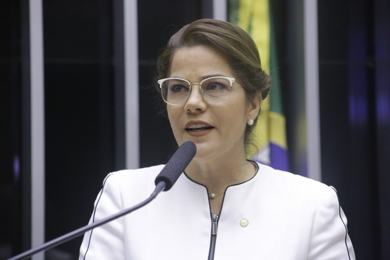 Discussão e votação de propostas. Dep. Mara Rocha MDB-AC