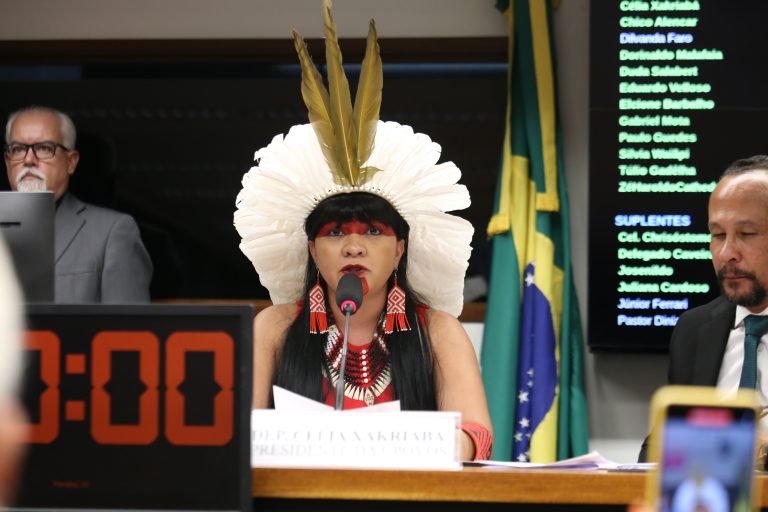 Reunião de Instalação e Eleição do Presidente e Vice-Presidente. Dep. Célia Xakriabá (PSOL - MG)