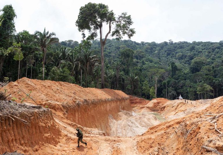 Meio Ambiente - queimada e desmatamento - Ibama fiscalização garimpo ilegal Jamanxim e Rio Novo (PA) mineração ouro e cassiterita destruição floresta amazônica