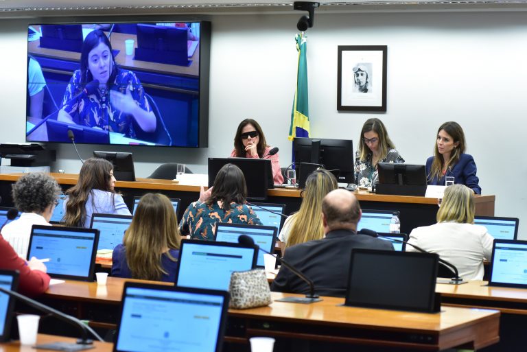 Reunião Extraordinária. Dep. Soraya Santos (PL - RJ) e Dep. Any Ortiz (CIDADANIA - RS)