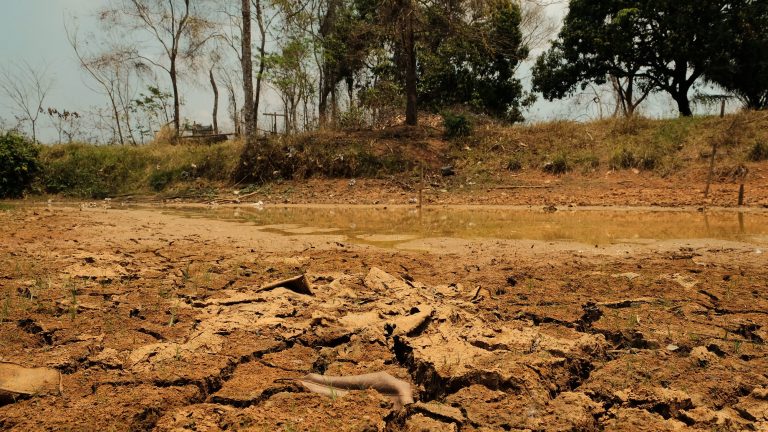 Meio Ambiente - Água - crise hídrica – seca – falta de água no Acre - açudes da comunidade Manoel Marques