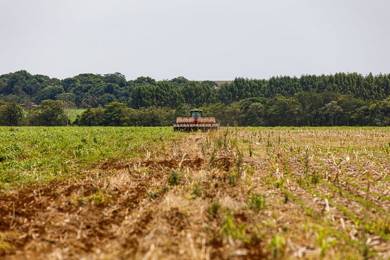 Plantio direto de soja no Mato Grosso