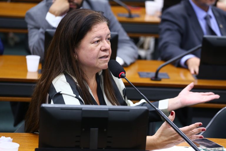 Deputada Laura Carneiro (PSD-RJ) na Comissão de Previdência, Assistência Social, Infância, Adolescência e Família