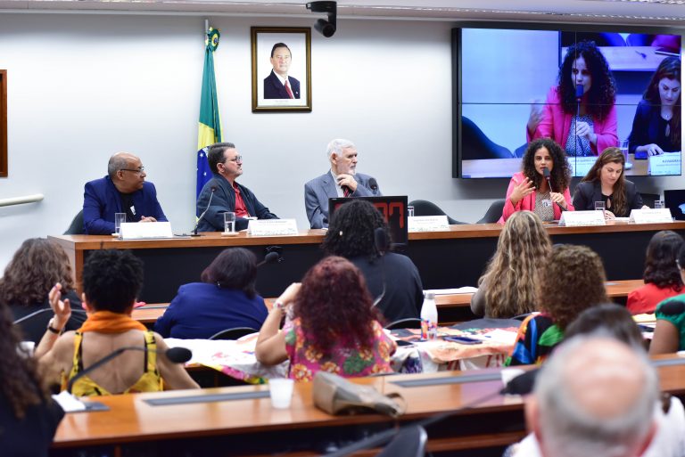 Seminário “Proteção das Defensoras e Defensores das políticas de respeito aos Direitos Humanos no Brasil”.