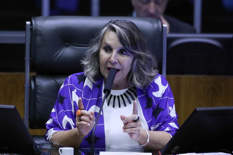 Deputada Erika Kokay discursa no Plenário da Câmara