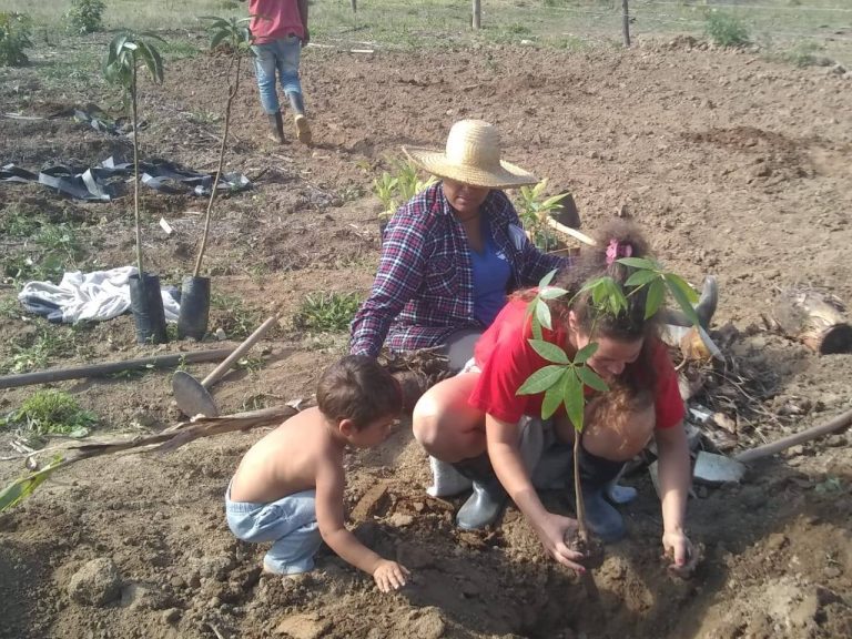 Agropecuária - plantações - agricultura familiar MST (Mutirão de Sistema de Agroflorestas no Pré-Assentamento Agroecológico Egidio Brunetto, em Lagoinha, no Vale do Paraíba (SP))