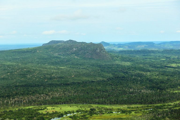 Amazônia paraense. Vista aérea. Rio. Pará. Floresta.