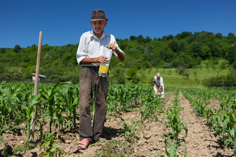 Agricultor idoso caminha numa plantação com uma garrafa de água na mão