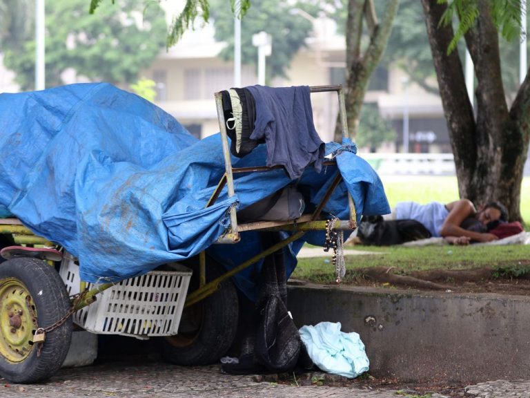 Um homem dorme na rua embaixo de uma árvores