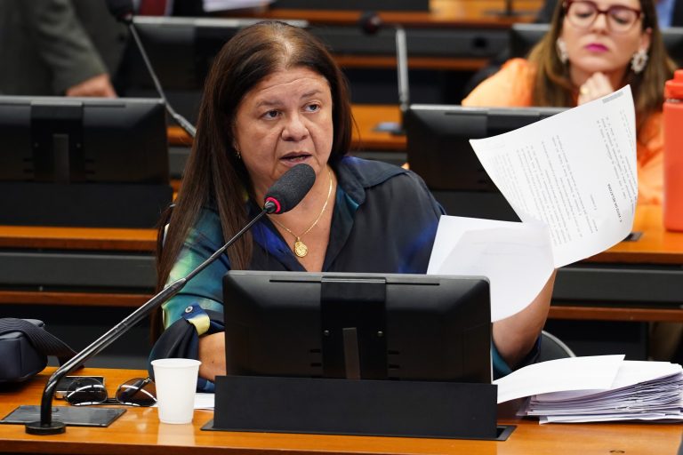 Deputada Laura Carneiro (PSD-RJ) em comissão na Câmara dos Deputados