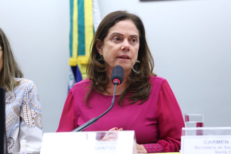 Audiência Pública - Violência obstétrica e morte materna: panorama do sistema de saúde. Dep. Soraya Santos (PL - RJ)