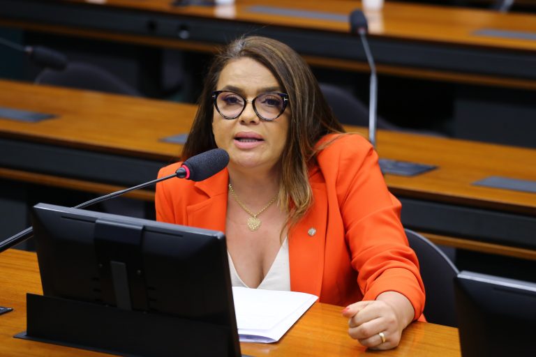 Deputada Helena Lima (MDB-RR) fala em comissão da Câmara dos Deputados