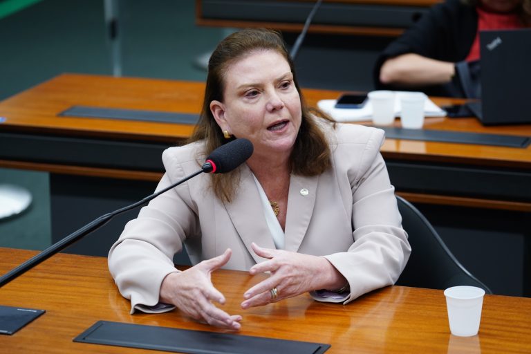 Fernanda Pessoa fala durante reunião de comissão