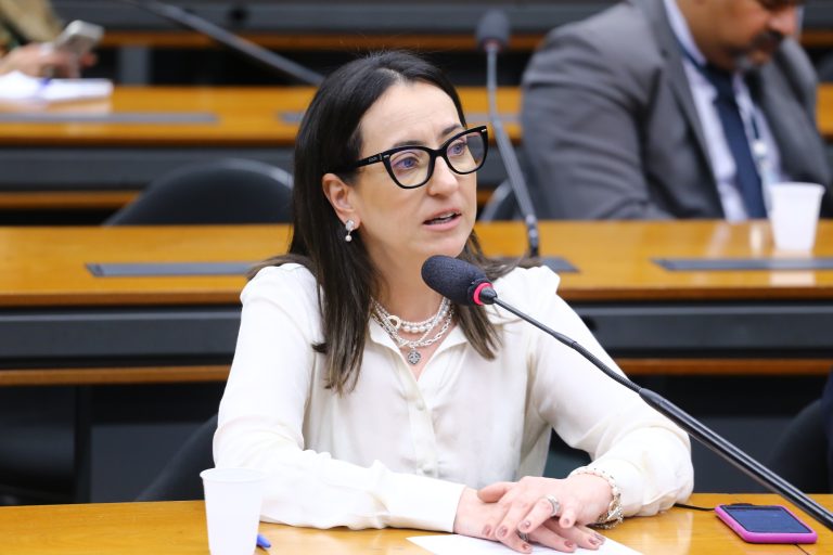 Rosângela Moro fala durante reunião de comissão