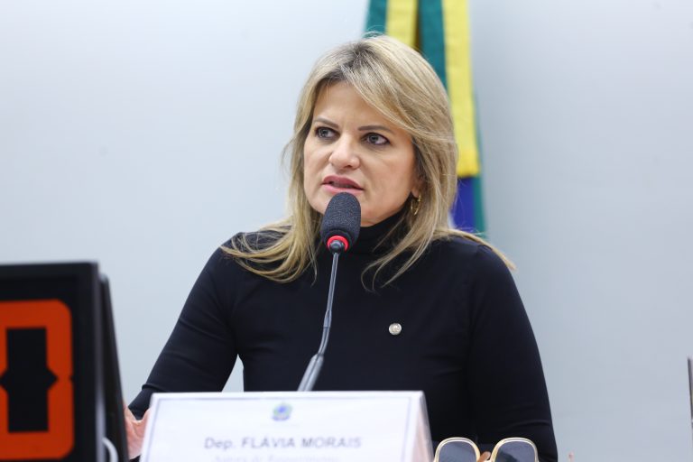 Audiência Pública - Agenda estratégica e prioridades da Secretaria Nacional de Cuidados e Família. Dep. Flávia Morais(PDT - GO)