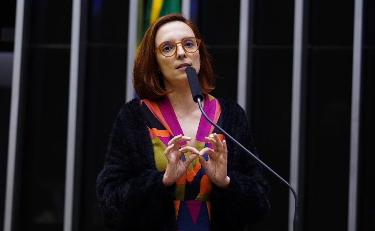 Discussão e votação de propostas. Dep. Ana Pimentel(PT - MG)