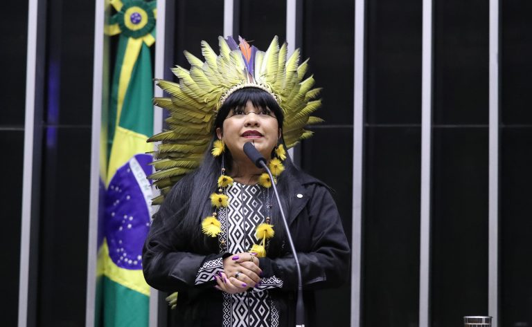 Célia Xakriabá discursa na tribuna do Plenário