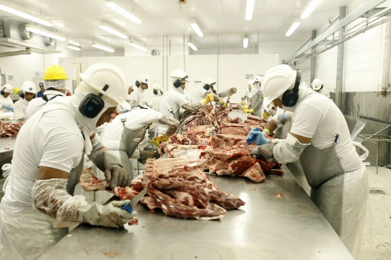 Homens trabalham num frigorífico. Eles estão com uniformes brancos e cortam carne em cima de um balcão