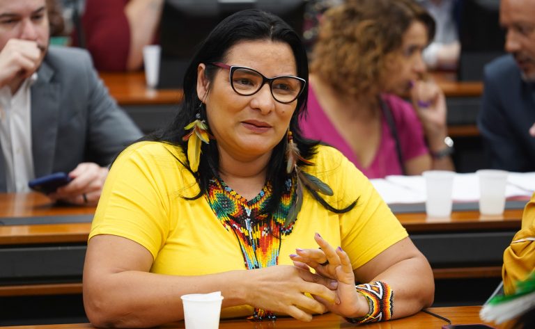 Juliana Cardoso fala durante reunião de comissão