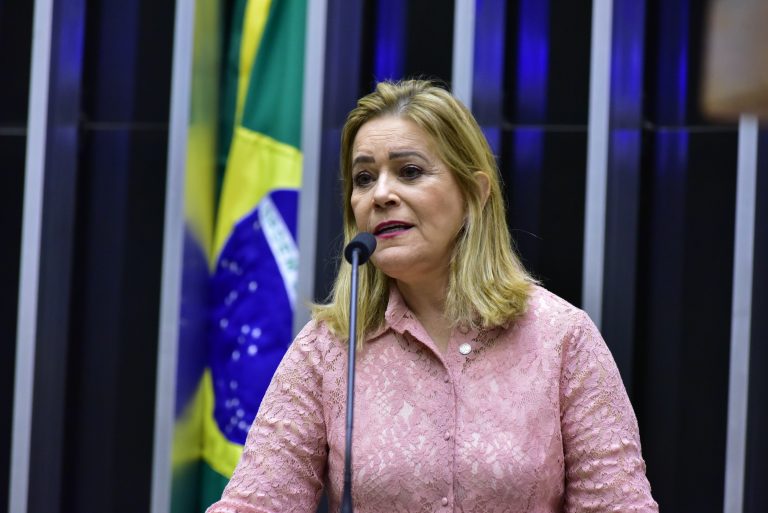 Discussão e votação de propostas. Dep. Lêda Borges (PSDB - GO)