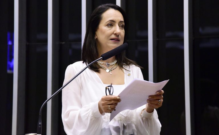 Deputada Rosângela Moro fala ao microfone