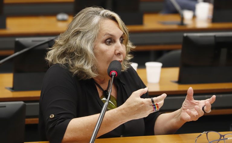 Erika Kokay fala durante reunião de comissão