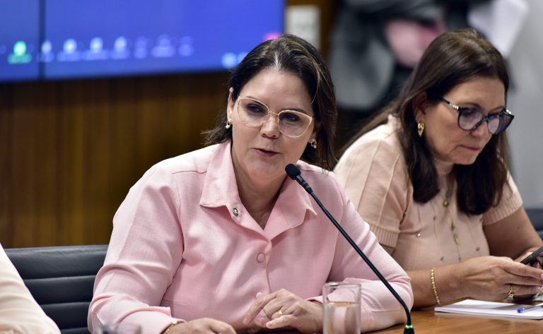 Coronel Fernanda fala durante reunião de comissão