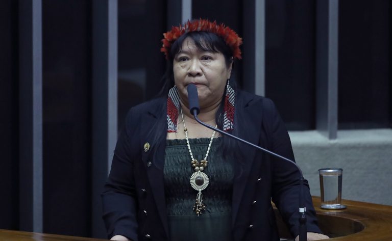 Homenagem à III Marcha das Mulheres Indígenas: Mulheres Biomas em Defesa da Biodiversidade Pelas Raízes Ancestrais. Presidenta da Funai, Joenia Wapichana