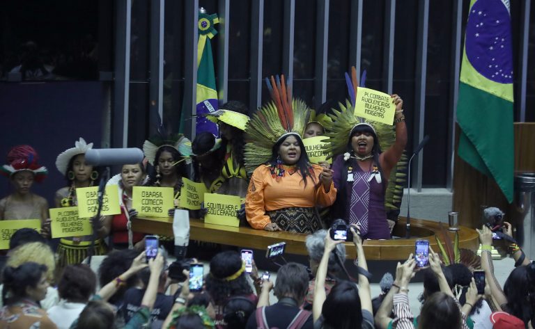 Homenagem à III Marcha das Mulheres Indígenas: Mulheres Biomas em Defesa da Biodiversidade Pelas Raízes Ancestrais.