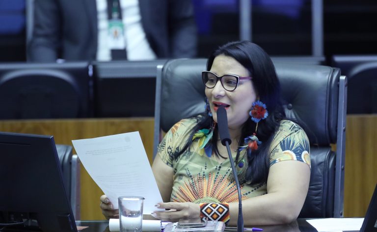 Homenagem à III Marcha das Mulheres Indígenas: Mulheres Biomas em Defesa da Biodiversidade Pelas Raízes Ancestrais. Dep. Juliana Cardoso (PT - SP)