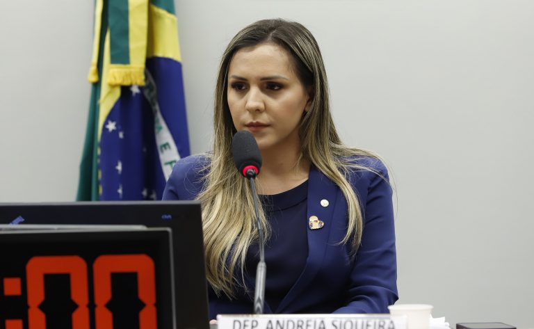 Audiência Pública - Situação dos Tradutores Intérpretes de Libras nas Instituições Federais. Dep. Andreia Siqueira(MDB - PA)