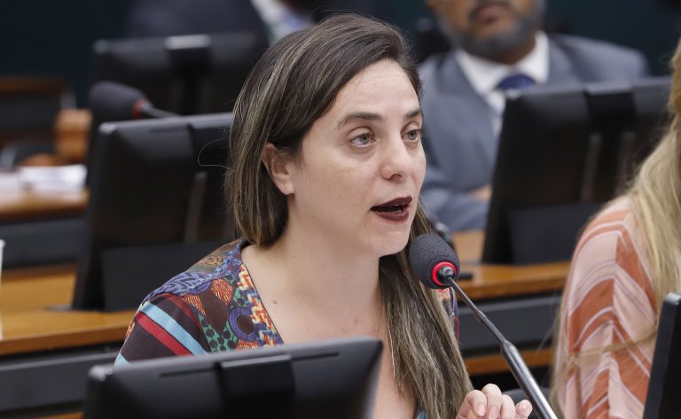 Discussão e votação do parecer do relator. Dep. Fernanda Melchionna (PSOL - RS)