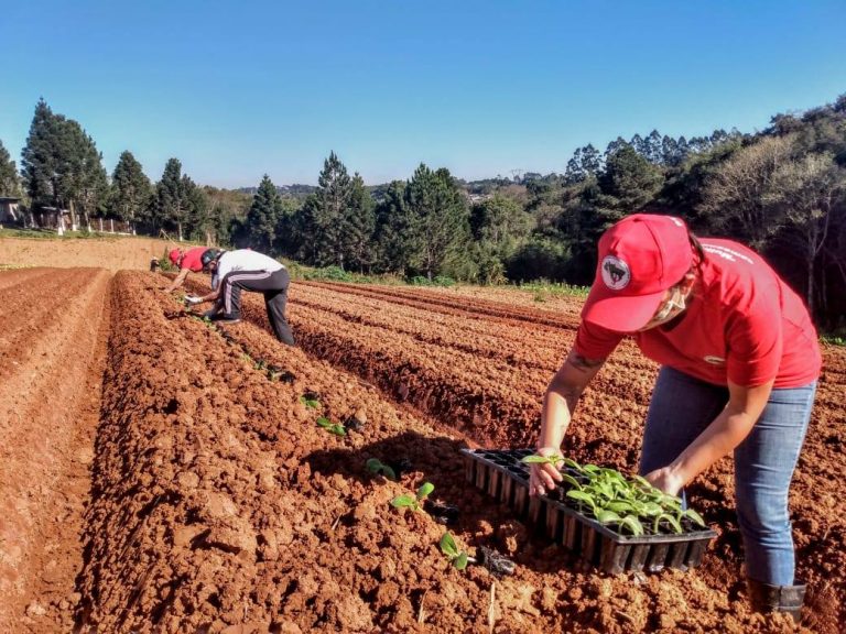 Imagem mostra trabalhadores rurais trabalhando a terra