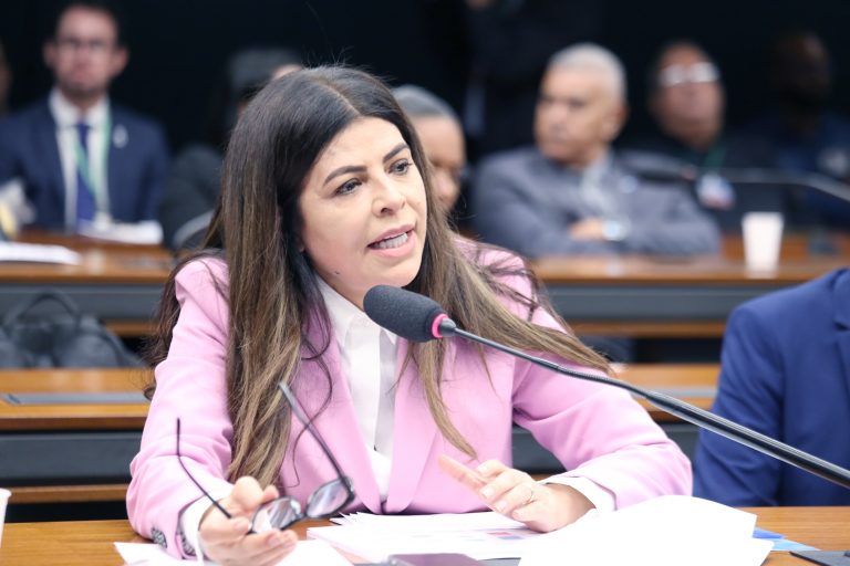 Antônia Lúcia fala durante reunião de comissão