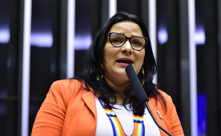 Juliana Cardoso discursa na tribuna do Plenário da Câmara