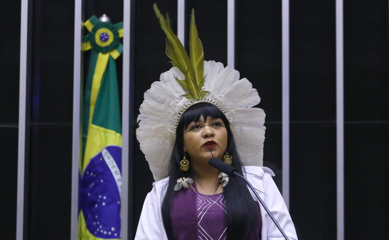 Célia Xakriabá discursa na tribuna do Plenário