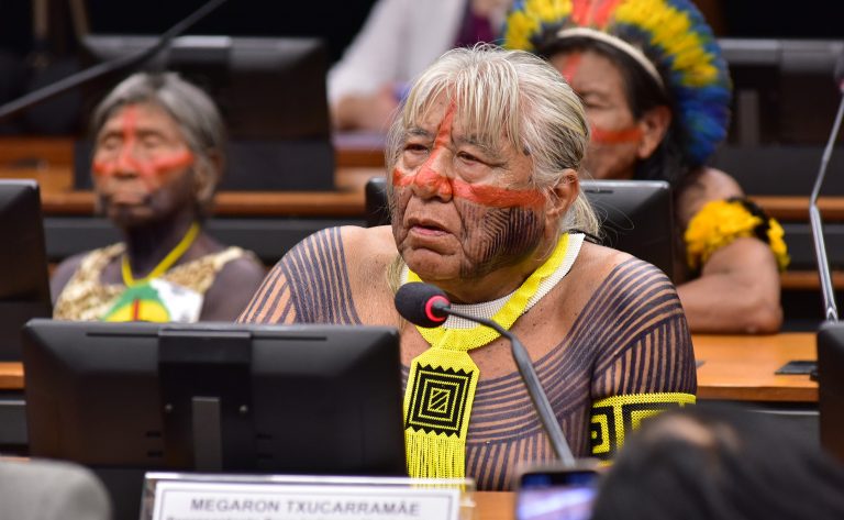 Audiência Pública - Delimitação da Terra Indígena Kapôt Nhinore. Representante do Povo Indígena Mebêngôkre - Terra Indígena Kapôt Nhinore, Megaron Txucarramãe