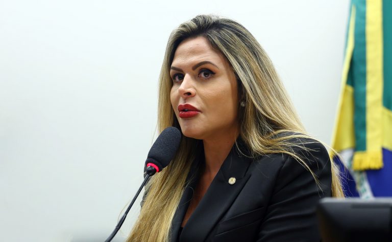 Audiência Pública - Relatos de vítimas de violência obstétrica. Dep. Silvye Alves(UNIÃO - GO)