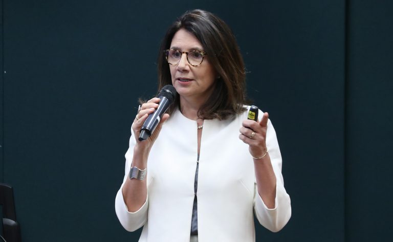 Seminário “Financiamento de políticas ambientais”. Secretária Nacional - Ministério do Meio AMbiente e Mudança do Clima, Ana Toni