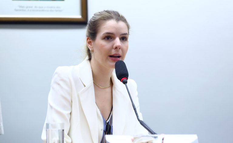 Deputada Luisa Canziani (PSD-PR) fala em comissão na Câmara dos Deputados