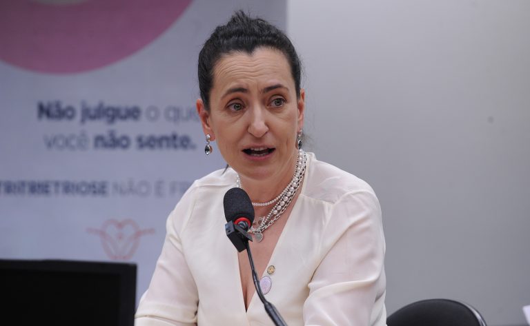 Rosângela Moro fala durante reunião de comissão