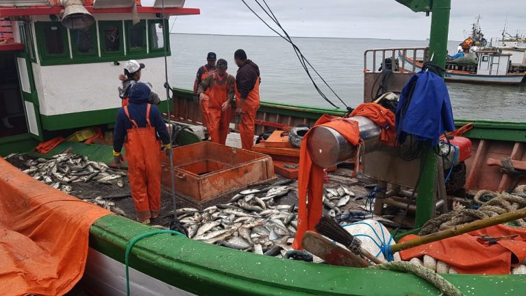 Meio Ambiente - pesca peixes fiscalização Ibama