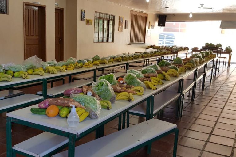 Alimentos - Estado do Paraná manteve a aquisição de produtos de agricultores que serviriam para a alimentação escolar e que foram distribuídos para as famílias atendidas por programas sociais - agricultura familiar - aquisição de alimentos