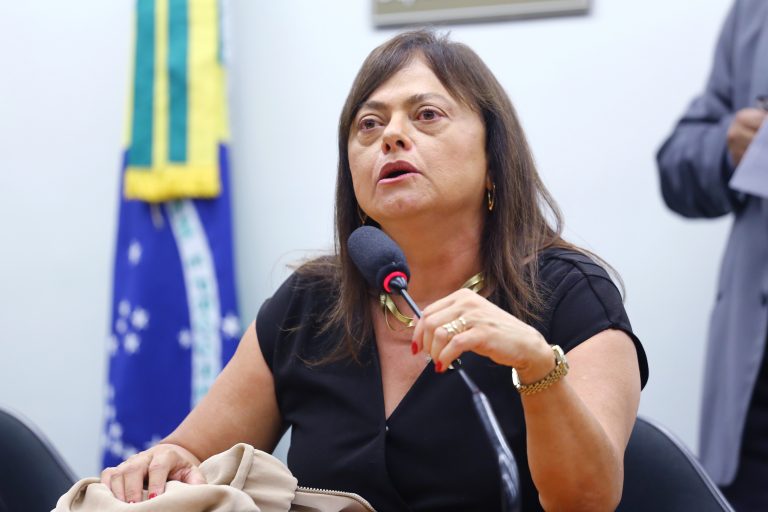 Audiência Pública. Dep. Alice Portugal (PCDOB - BA)