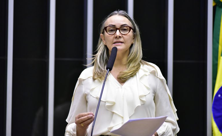 Daniela Reinehr discursa na tribuna do Plenário