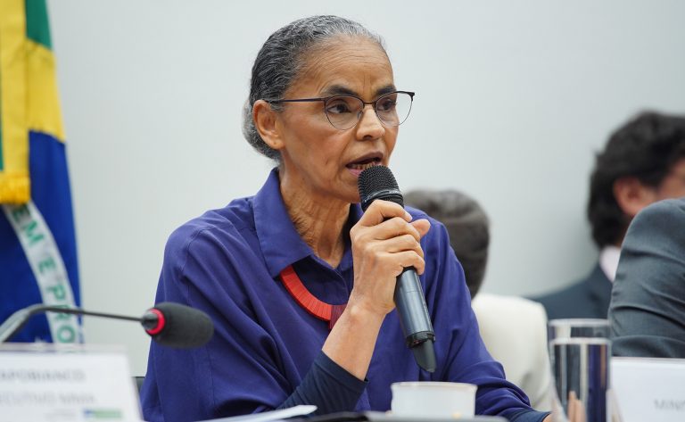 Marina Silva fala em reunião de comissão