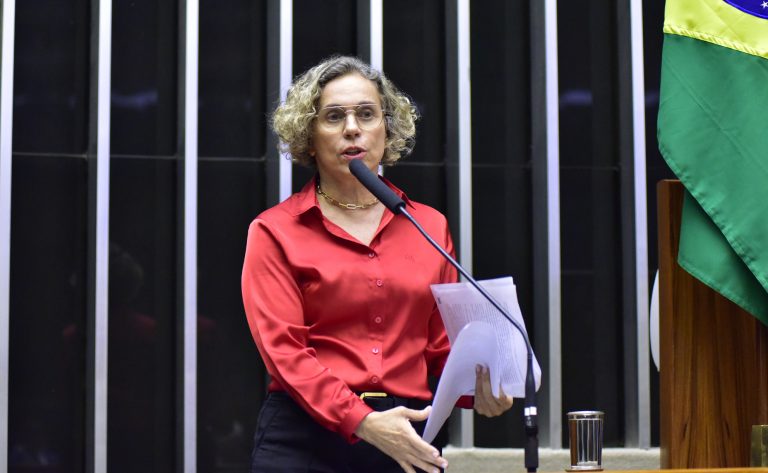 Discussão e votação de propostas. Dep. Ana Paula Lima(PT - SC)