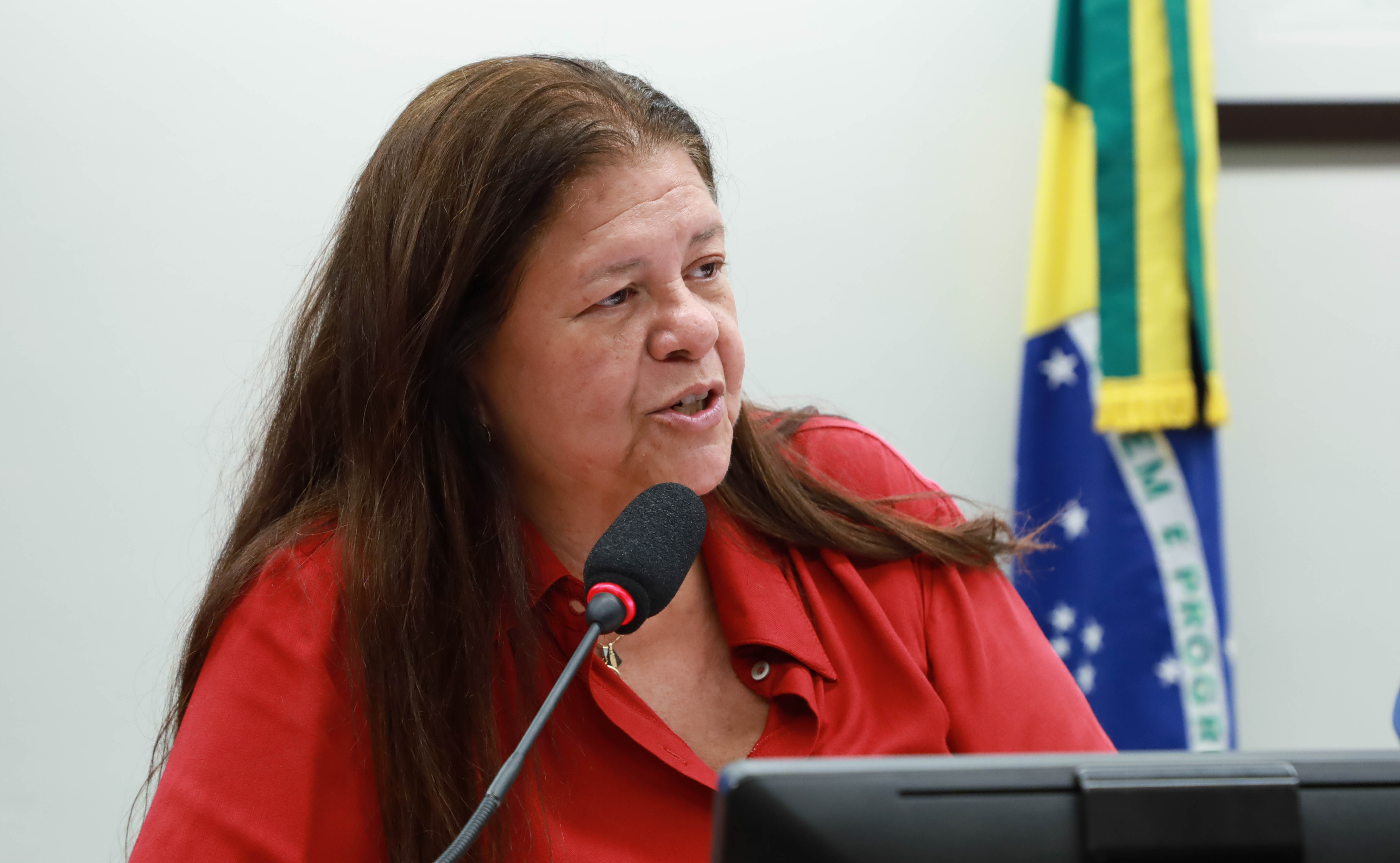 Deputada Laura Carneiro, relatora da proposta na CCJ